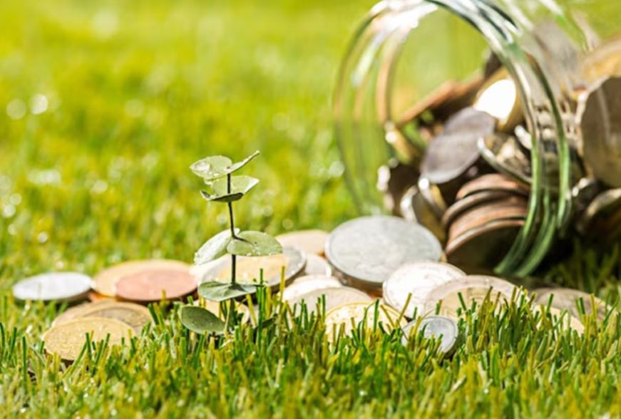 Green transition: Financing challenges and financial stability risks  